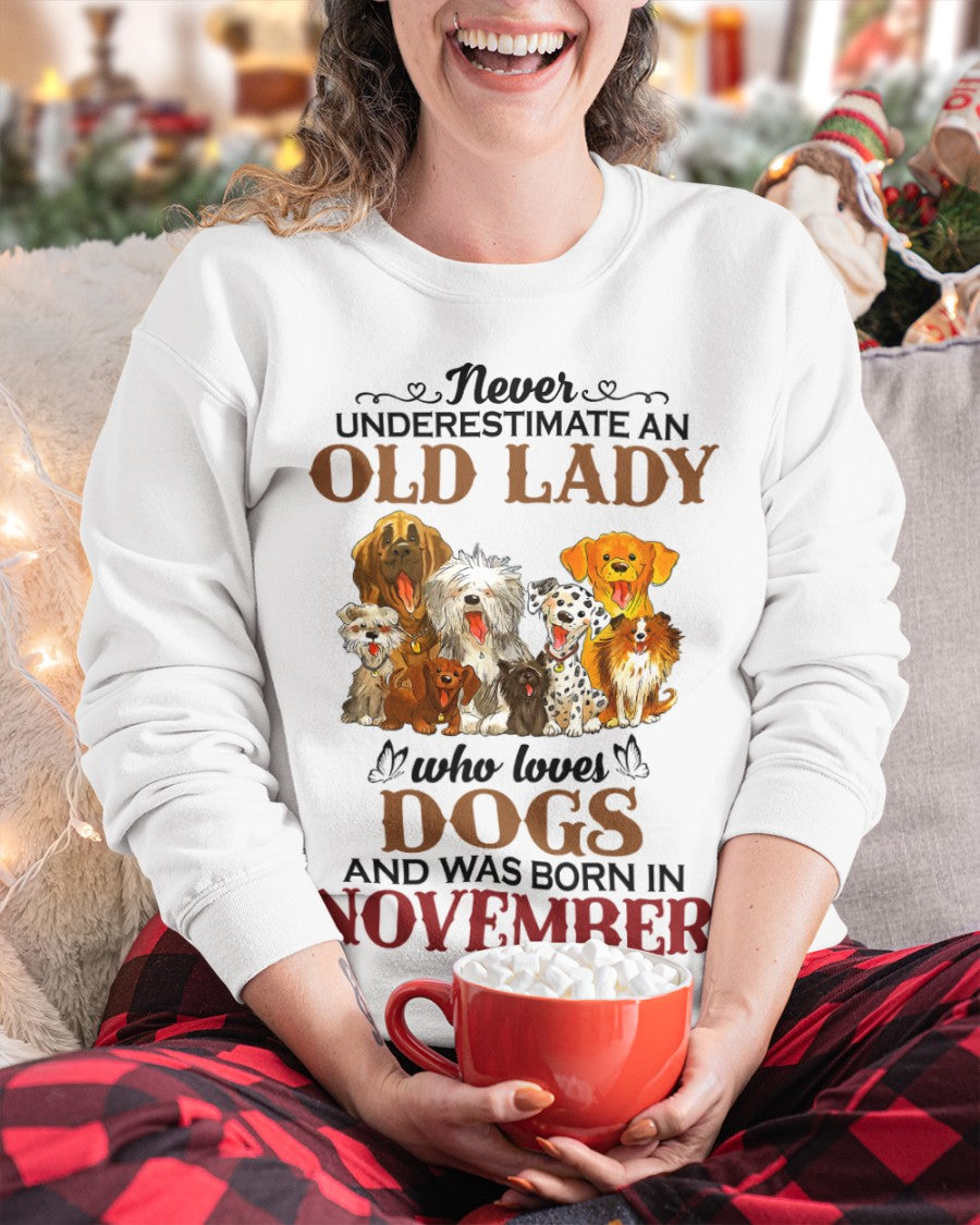 An Old November Lady Who Loves Dogs - Perfect Shirt For Women DTSM11