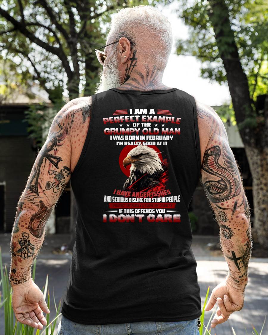 FEBRUARY - I AM A PERFECT EXAMPLE OF THE GRUMPY OLD MAN - T SHIRT FOR MEN - DTSM02 (SKU26T-01299-02)