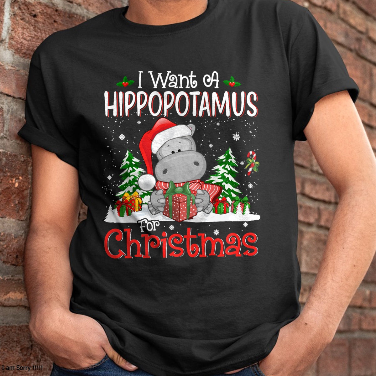 Christmas Shirts for Family, Funny christmas shirts, Christmas Unisex T-Shirt/Hoodie/Sweatshirt HLT00 - I Want A Hippopotamus For Christmas Xmas Hippo for Kid Women T-Shirt