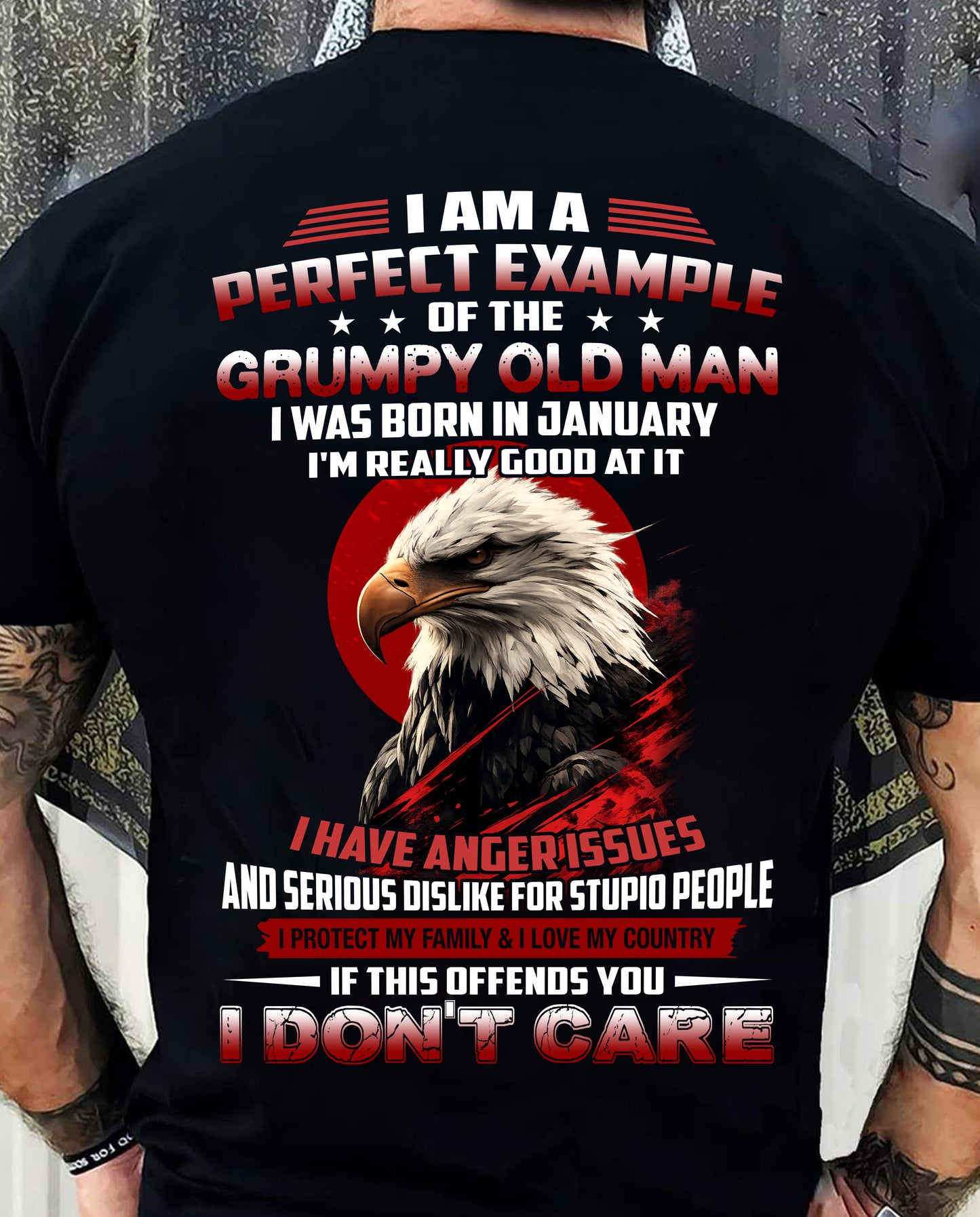 JANUARY - I AM A PERFECT EXAMPLE OF THE GRUMPY OLD MAN - T SHIRT FOR MEN - DTSM01 (SKU26T-01299-01)