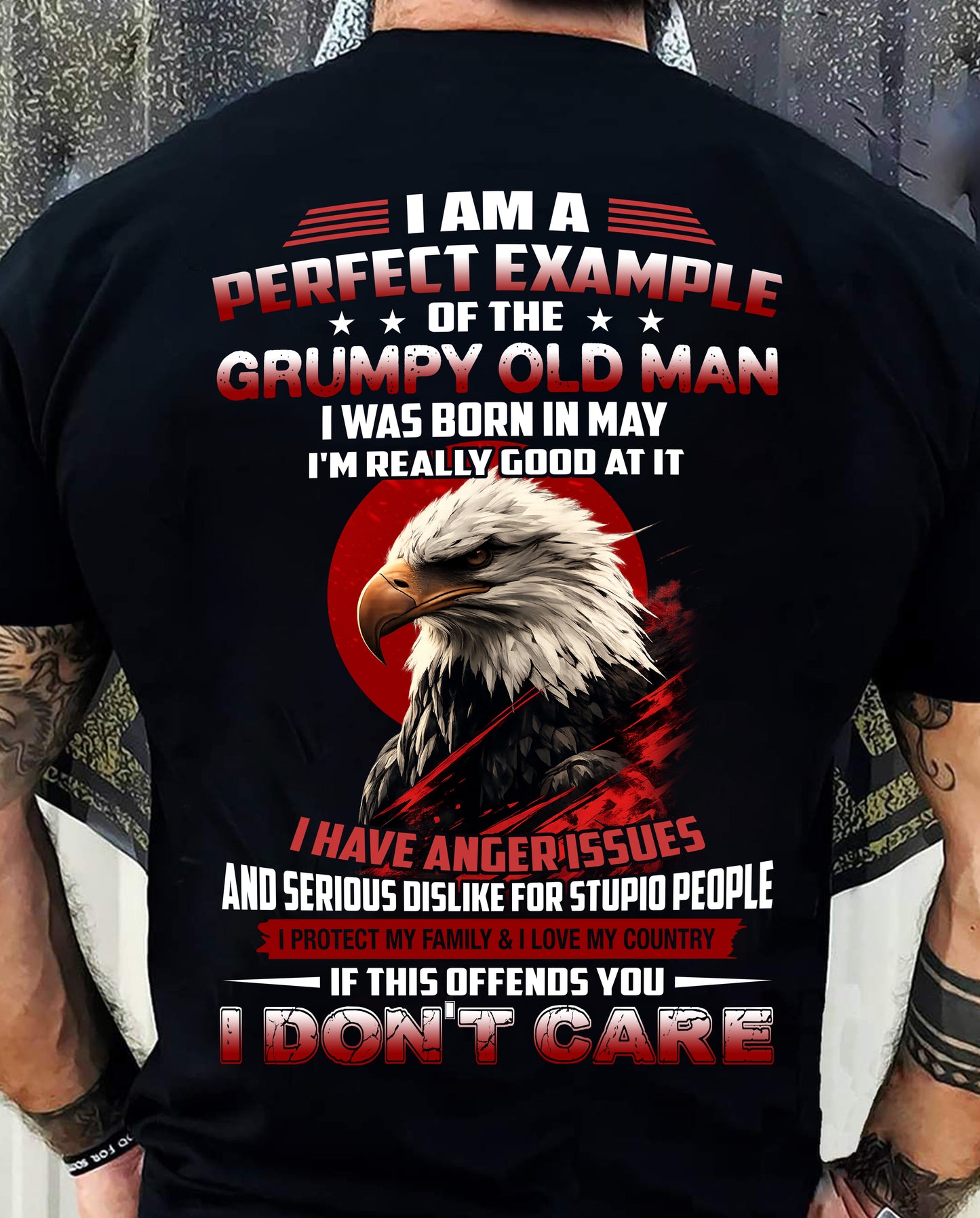 MAY - I AM A PERFECT EXAMPLE OF THE GRUMPY OLD MAN - T SHIRT FOR MEN - DTSM05 (SKU26T-01299-05)