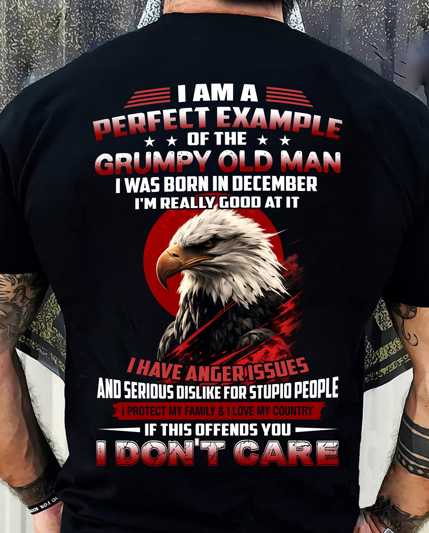 DECEMBER - I AM A PERFECT EXAMPLE OF THE GRUMPY OLD MAN - T SHIRT FOR MEN - DTSM12 (SKU26T-01299-12)