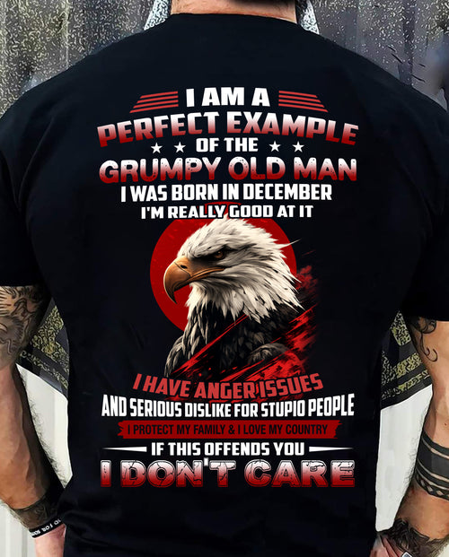 DECEMBER - I AM A PERFECT EXAMPLE OF THE GRUMPY OLD MAN - T SHIRT FOR MEN - DTSM12 (SKU26T-01299-12)