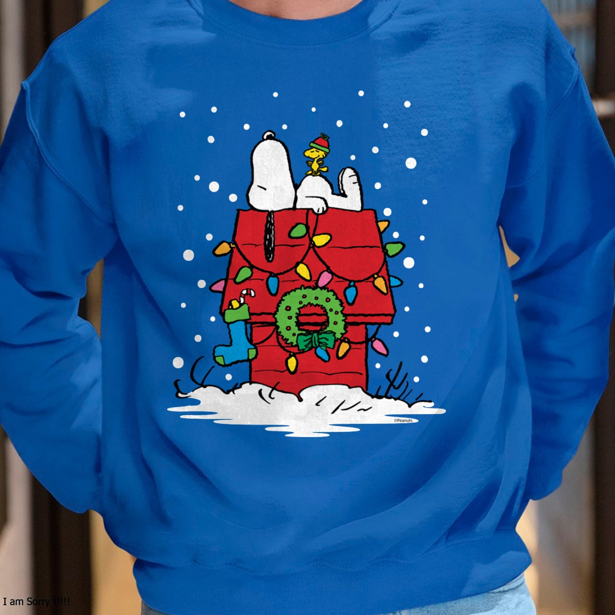 Christmas Shirts for Family, Funny christmas shirts, Christmas Unisex T-Shirt/Hoodie/Sweatshirt HLT00 - Peanuts Snoopy and Woodstock Stocking Long Sleeve T-Shirt
