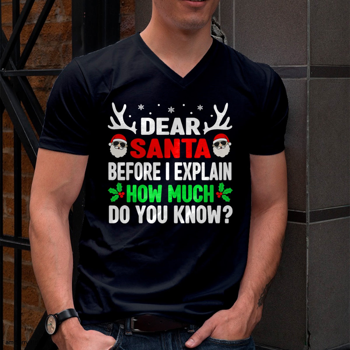 Christmas Shirts for Family, Funny christmas shirts, Christmas Unisex T-Shirt/Hoodie/Sweatshirt HLT00 - Funny Christmas Kids Adults Dear Santa I Can Explain T-Shirt