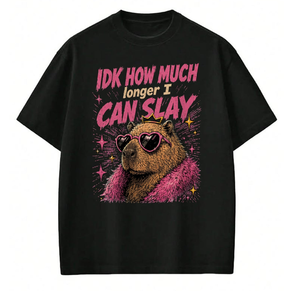 Cute Capybara Shirt, Funny Capybara Unisex T-Shirt/Hoodie/Sweatshirt HLT00 - Funny Capybara IDK How Much Longer I Can Slay Teens Meme T-Shirt