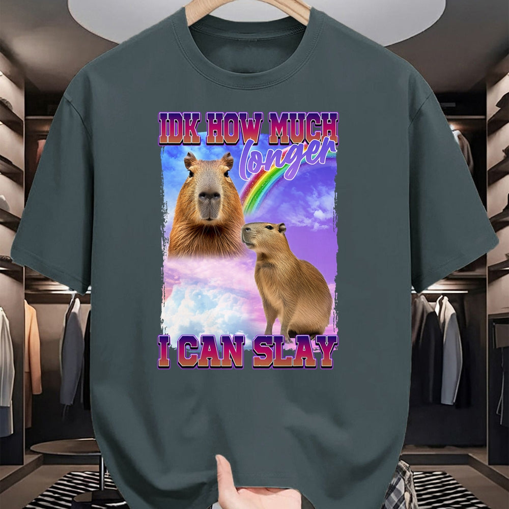 Cute Capybara Shirt, Funny Capybara Unisex T-Shirt/Hoodie/Sweatshirt HLT00 - IDK How Much Longer I Can Slay Capybara T-Shirt
