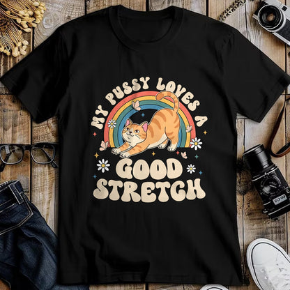 Cat Love Shirt, Funny Cat Lover Gift UnisexT-Shirt/Hoodie/Sweatshirt HLT00 - My Pussy Loves A Good Stretch Inappropriate Adult Humor Cat T-Shirt