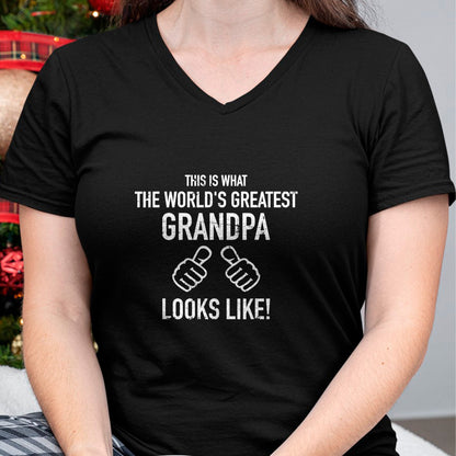 Best Grandpa Shirt, Proud Grandpa Unisex T-Shirt/Hoodie/Sweatshirt HLT00 - World's greatest Grandpa T-Shirt