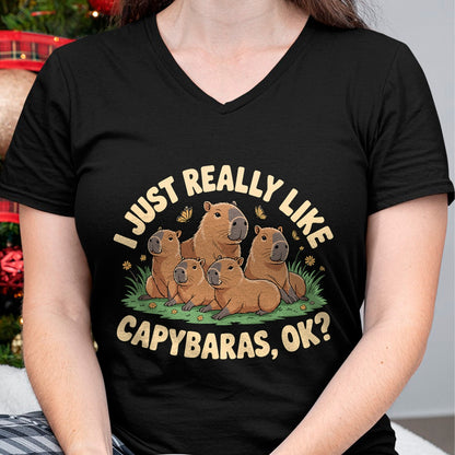 Cute Capybara Shirt, Funny Capybara Unisex T-Shirt/Hoodie/Sweatshirt HLT00 - Funny Bit of A Mess Capybara Meme Graphic for Women T-Shirt