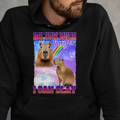 Cute Capybara Shirt, Funny Capybara Unisex T-Shirt/Hoodie/Sweatshirt HLT00 - IDK How Much Longer I Can Slay Capybara T-Shirt