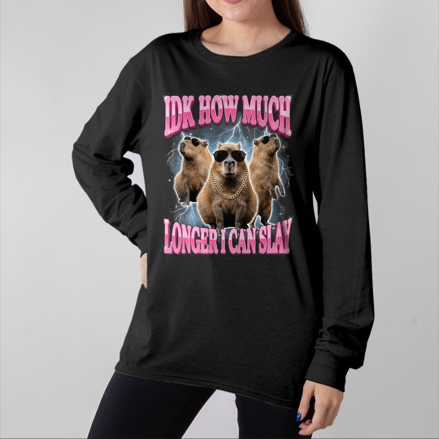 Cute Capybara Shirt, Funny Capybara Unisex T-Shirt/Hoodie/Sweatshirt HLT00 - IDK How Much Longer I Can Slay T-Shirt