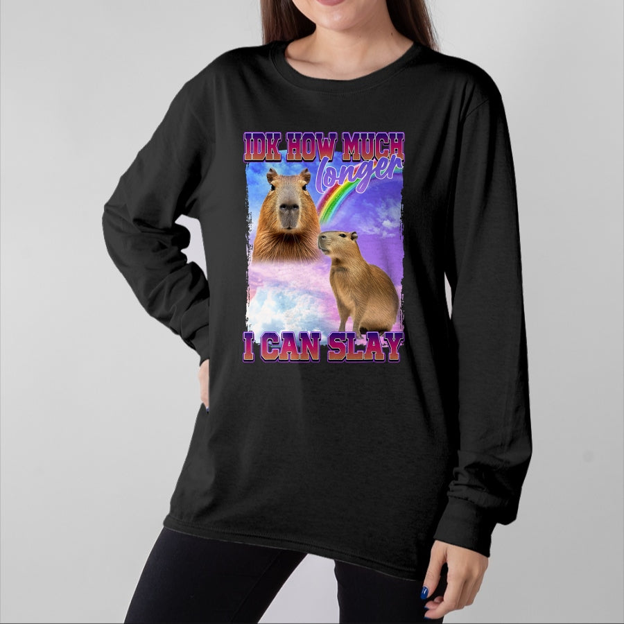 Cute Capybara Shirt, Funny Capybara Unisex T-Shirt/Hoodie/Sweatshirt HLT00 - IDK How Much Longer I Can Slay Capybara T-Shirt