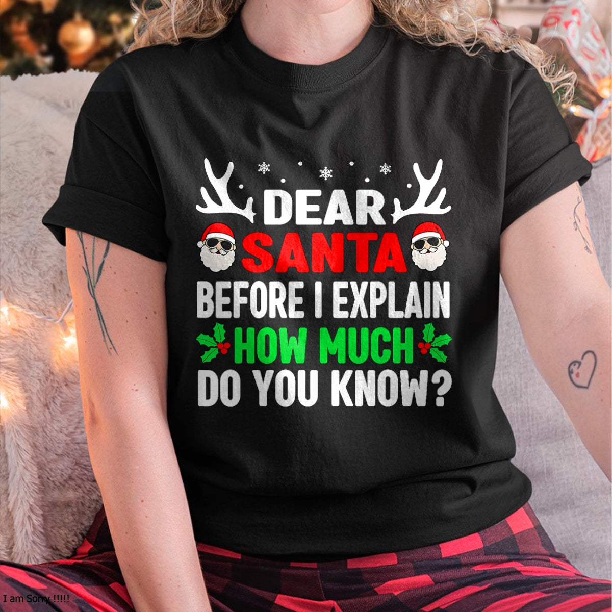 Christmas Shirts for Family, Funny christmas shirts, Christmas Unisex T-Shirt/Hoodie/Sweatshirt HLT00 - Funny Christmas Kids Adults Dear Santa I Can Explain T-Shirt