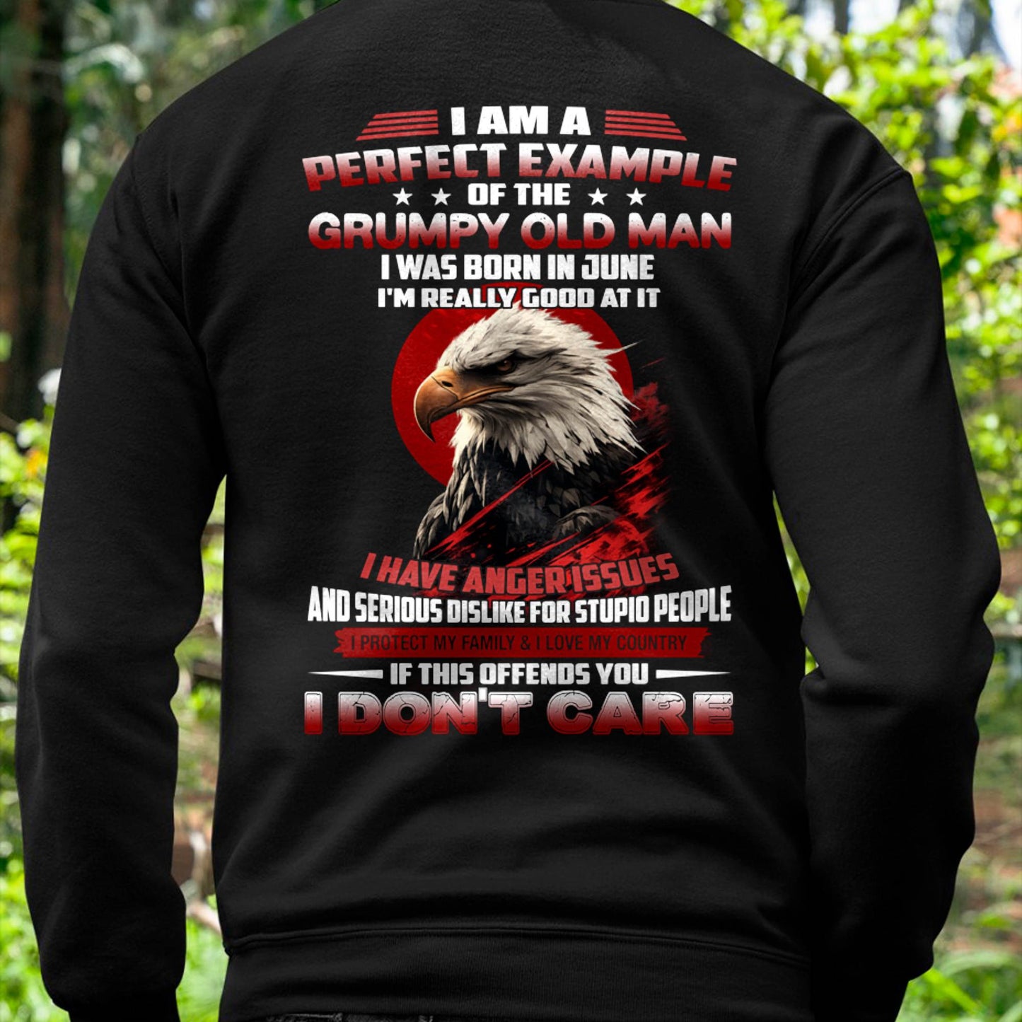 JUNE - I AM A PERFECT EXAMPLE OF THE GRUMPY OLD MAN - T SHIRT FOR MEN - DTSM06 (SKU26T-01299-06)