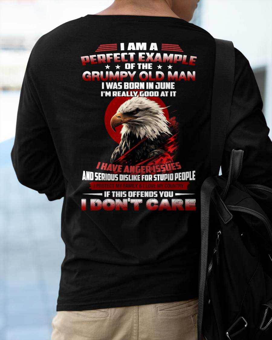 JUNE - I AM A PERFECT EXAMPLE OF THE GRUMPY OLD MAN - T SHIRT FOR MEN - DTSM06 (SKU26T-01299-06)