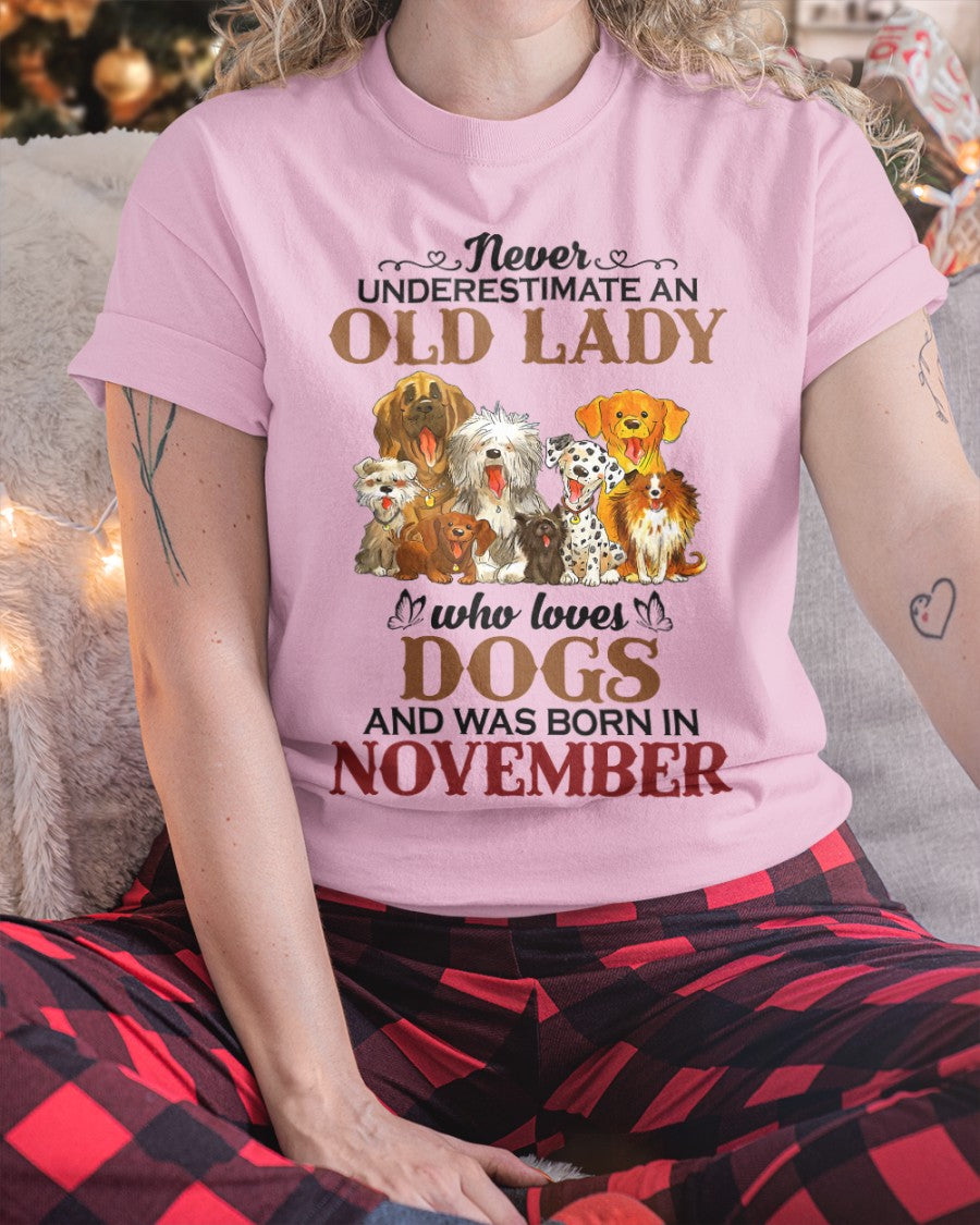 An Old November Lady Who Loves Dogs - Perfect Shirt For Women DTSM11