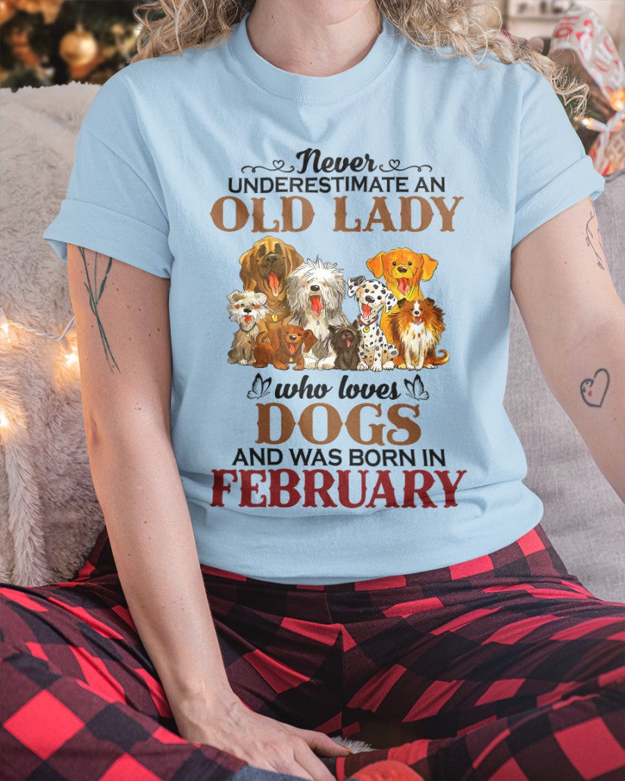 An Old February Lady Who Loves Dogs - Perfect Shirt For Women DTSM02