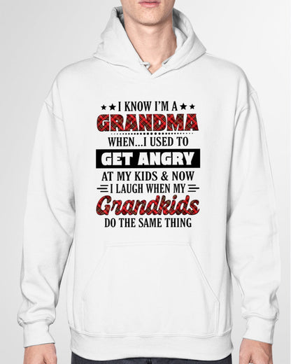 KNOW I'M A GRANDMA WHEN... I USED TO GET ANGRY AT MY KIDS & NOW I LAUGH WHEN MY GRANDKIDS DO THE SAME THING - from grandma NTTD00 (SKU07-111)