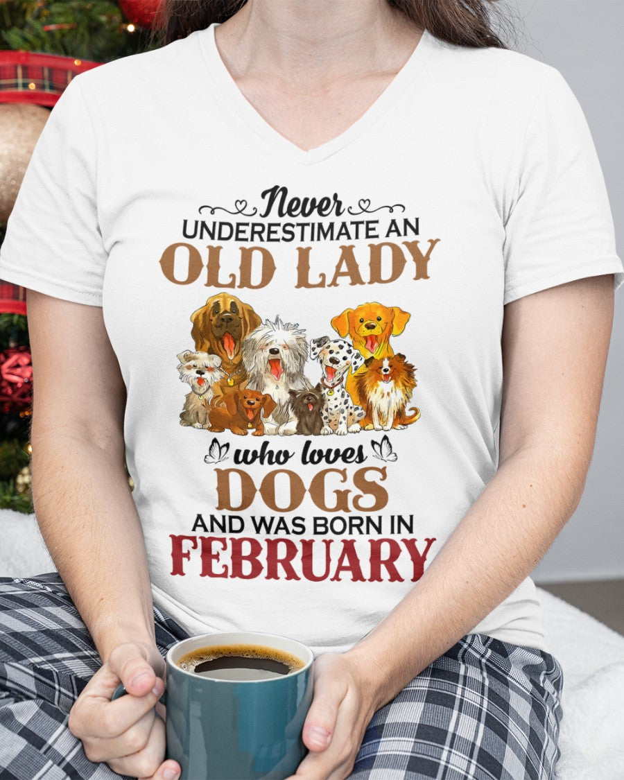 An Old February Lady Who Loves Dogs - Perfect Shirt For Women DTSM02