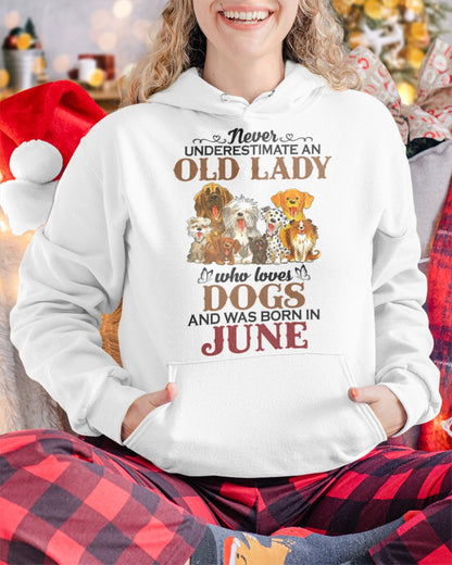 An Old June Lady Who Loves Dogs - Perfect Shirt For Women DTSM06 (SKU10-34-06)