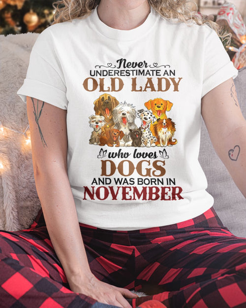 An Old November Lady Who Loves Dogs - Perfect Shirt For Women DTSM11