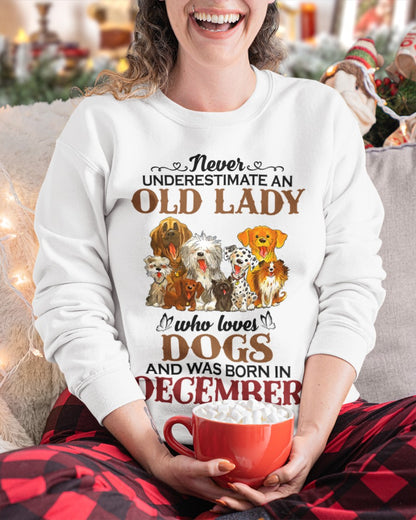 An Old December Lady Who Loves Dogs - Perfect Shirt For Women DTSM12