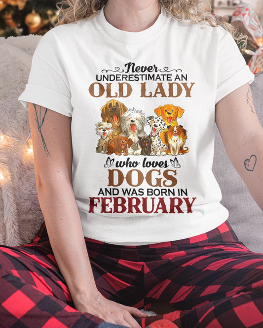 An Old February Lady Who Loves Dogs - Perfect Shirt For Women DTSM02